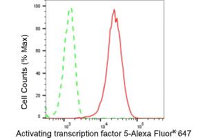 Flow cytometric analysis of Activating transcription factor 5 expression in HeLa cells using Activating transcription factor 5 antibody (ABIN7797484), 1:2,000). (Recombinant ATF5 抗体)