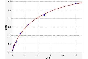 Typical standard curve (HMOX2 ELISA 试剂盒)