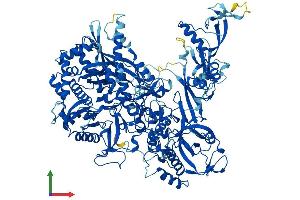 Protein Structure (PS) image for Polymerase (RNA) I Polypeptide B, 128kDa (POLR1B) (AA 1-1135) protein (His tag) (ABIN7555258)