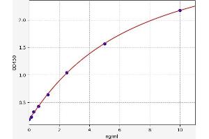 Typical standard curve (KISS1 ELISA 试剂盒)