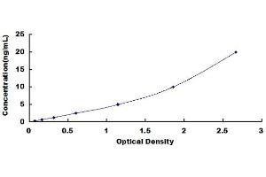 Typical standard curve (TLR9 ELISA 试剂盒)