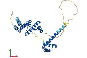 Protein Structure (PS) image for SIX Homeobox 6 (SIX6) (AA 1-246) protein (His tag) (ABIN7546026)