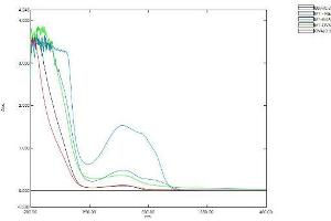 Image no. 1 for Melatonin (MT) protein (BSA) (ABIN1880108) (Melatonin Protein (MT) (BSA))