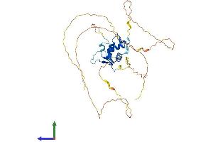 AlphaFold protein structure predicition of Mouse Recombinant Foxq1 Protein, UniprotID O70220
