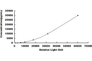 ELISA image for Growth Hormone 1 (GH1) CLIA Kit (ABIN491756)