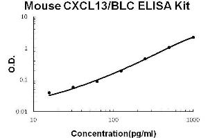 Mouse CXCL13/BLC PicoKine ELISA Kit standard curve