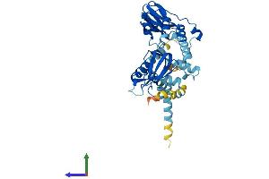 AlphaFold protein structure predicition of Human Recombinant PRKAR1A Protein, UniprotID P10644
