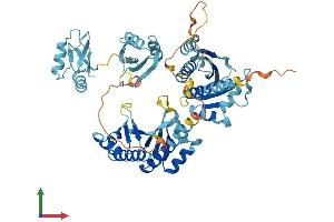 AlphaFold protein structure predicition of Mouse Recombinant Igf2bp3 Protein, UniprotID Q9CPN8 (IGF2BP3 Protein (AA 1-579) (His tag))