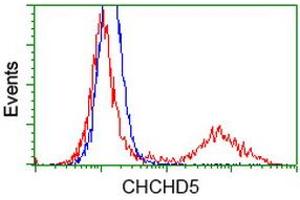 Image no. 1 for anti-Coiled-Coil-Helix-Coiled-Coil-Helix Domain Containing 5 (CHCHD5) antibody (ABIN1497490) (CHCHD5 抗体)