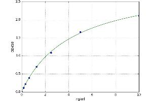 A typical standard curve (NFIL3 ELISA 试剂盒)