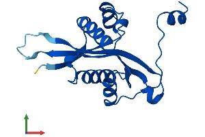 AlphaFold protein structure predicition of Mouse Recombinant Sat2 Protein, UniprotID Q6P8J2
