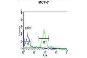 Flow Cytometry (FACS) image for anti-Histone H2A Type 1-H (HIST1H2AH) antibody (ABIN3003926) (HIST1H2AH 抗体)
