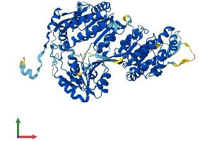 Protein Structure (PS) image for Aldehyde Dehydrogenase 16 Family, Member A1 (ALDH16A1) (AA 1-802) protein (His tag) (ABIN7557420)