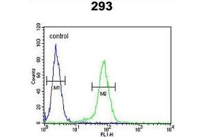 CLDN8 Antibody (Center) flow cytometric analysis of 293 cells (right histogram) compared to a negative control cell (left histogram). (CLDN8 抗体  (Middle Region))