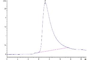 Size-exclusion chromatography-High Pressure Liquid Chromatography (SEC-HPLC) image for V-Set Domain Containing T Cell Activation Inhibitor 1 (VTCN1) (AA 33-194) protein (His tag) (ABIN7273954)