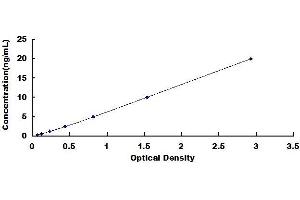Typical standard curve (SLC1A3 ELISA 试剂盒)