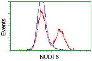 HEK293T cells transfected with either RC203470 overexpress plasmid (Red) or empty vector control plasmid (Blue) were immunostained by anti-NUDT6 antibody (ABIN2454159), and then analyzed by flow cytometry. (NUDT6 抗体)