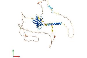 Protein Structure (PS) image for Trk-Fused Gene (TFG) (AA 1-400) protein (His tag) (ABIN7544434)
