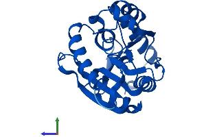 Protein Structure (PS) image for Methyltransferase Like 11A (METTL11A) (AA 1-223) protein (His tag) (ABIN7559707)