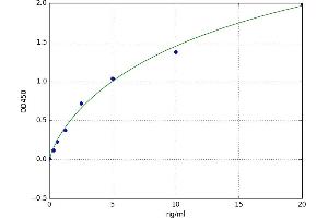 A typical standard curve (AGE ELISA 试剂盒)