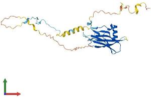 Protein Structure (PS) image for Protein Phosphatase 1, Regulatory Subunit 3B (PPP1R3B) (AA 1-285) protein (His tag) (ABIN7550976)