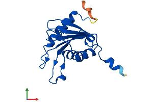 Protein Structure (PS) image for Cytidine Deaminase (CDA) (AA 1-146) protein (His tag) (ABIN7556472)