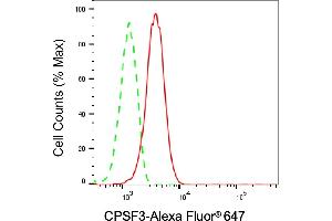 Flow cytometric analysis of CPSF3 expression in HepG2 cells using CPSF3 antibody (ABIN7798096), 1:2,000). (Recombinant CPSF3 抗体)