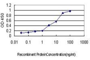 Detection limit for recombinant GST tagged NFX1 is approximately 0. (NFX1 抗体  (AA 981-1080))
