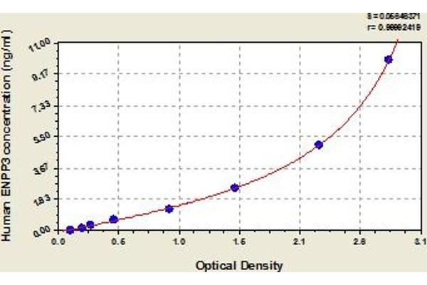 ENPP3 ELISA 试剂盒