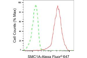 Flow cytometric analysis of SMC1A expression in HepG2 cells using SMC1A antibody (ABIN7800446), 1:2,000). (Recombinant SMC1A 抗体)