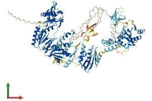 AlphaFold protein structure predicition of Human Recombinant ERVK-11 Protein, UniprotID Q9UQG0