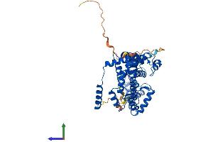 AlphaFold protein structure predicition of Human Recombinant RGS11 Protein, UniprotID O94810