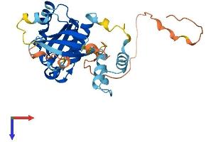 Protein Structure (PS) image for RAB40B, Member RAS Oncogene Family (RAB40B) (AA 1-278) protein (His tag) (ABIN7551235)