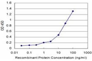 Detection limit for recombinant GST tagged CALCA is approximately 1ng/ml as a capture antibody. (CGRP 抗体  (AA 52-141))