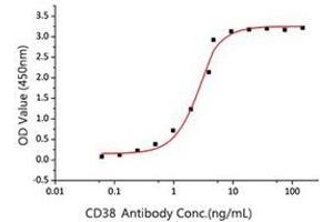 Activity Assay (AcA) image for CD38 (AA 43-300) (Active) protein (His tag) (ABIN7607410)