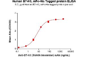 ELISA image for CD276 (CD276) (AA 29-245) protein (mFc-His Tag) (ABIN6961085)