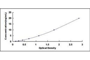 Typical standard curve (HTR2C ELISA 试剂盒)