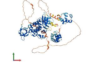 AlphaFold protein structure predicition of Mouse Recombinant Tnk1 Protein, UniprotID Q99ML2