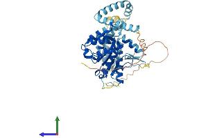 Protein Structure (PS) image for Patatin-Like phospholipase Domain Containing 3 (PNPLA3) (AA 1-413) protein (His tag) (ABIN7560067)