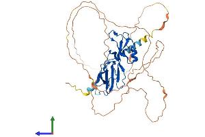 Protein Structure (PS) image for Glial Cells Missing Homolog 1 (GCM1) (AA 1-436) protein (His tag) (ABIN7556704)