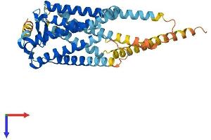 PTGER2 Protein (AA 1-362) (His tag)