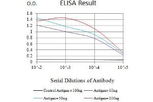 Black line: Control Antigen (100 ng),Purple line: Antigen (10 ng), Blue line: Antigen (50 ng), Red line:Antigen (100 ng) (HAS1 抗体  (AA 74-399))