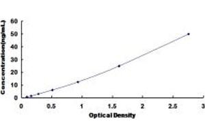 Typical standard curve (CD200R1L ELISA 试剂盒)