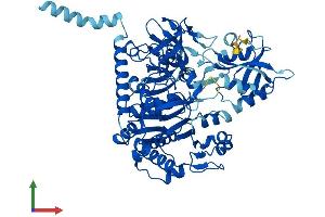 Protein Structure (PS) image for Solute Carrier Family 27 (Fatty Acid Transporter), Member 2 (SLC27A2) (AA 1-620) protein (His tag) (ABIN7555329)