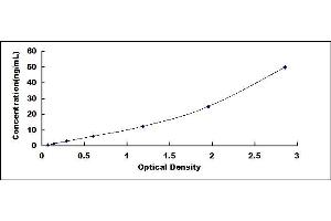 Typical standard curve (HSP70 1A ELISA 试剂盒)