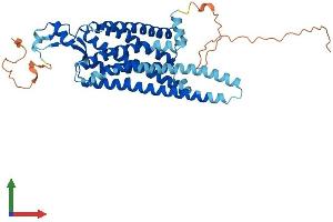 Protein Structure (PS) image for Neuromedin U Receptor 1 (NMUR1) (AA 1-426) protein (His tag) (ABIN7549770)