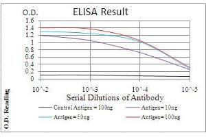 Black line: Control Antigen (100 ng), Purple line: Antigen(10 ng), Blue line: Antigen (50 ng), Red line: Antigen (100 ng),