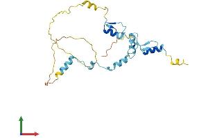 AlphaFold protein structure predicition of Mouse Recombinant Jazf1 Protein, UniprotID Q80ZQ5