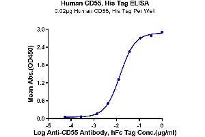 ELISA image for Complement Decay-Accelerating Factor (CD55) (AA 35-353) protein (His tag) (ABIN7274193)