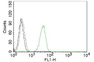 Flow Cytometry of human CD31 on Jurkat cells. (CD31 抗体)